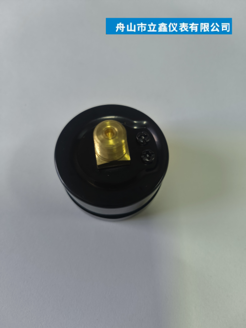 轴向压力表Y-40Z