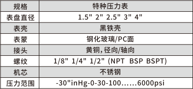 特种压力表